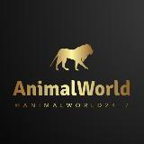 Animal World