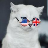 ????Kittyeng | Língua Inglesa????