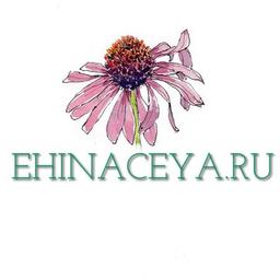 ehinaceya_clinic