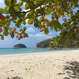 Таиланд🌴Пхукет🇹🇭Новости