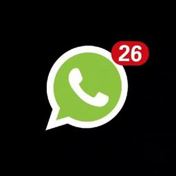 WHATSAPP PLUS