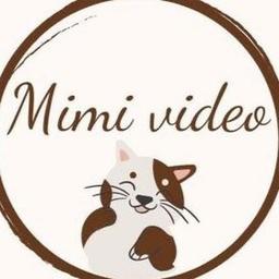 MIMI_VIDEO Animais