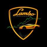 L&I – Lambo-Blinker