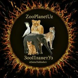 🌐ZooPLANet🌐