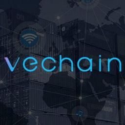 VeChain - Comunità di lingua russa