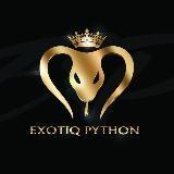 Tienda Exotiq Python