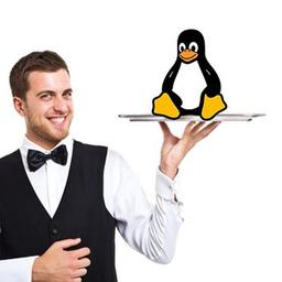 Linux, per favore