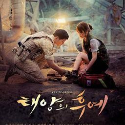 Descendants of the Sun (Korea)