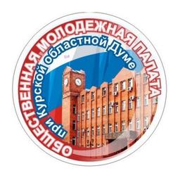 Youth Parliament of the Kursk region