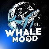 ??Whale Mood (adaptador)