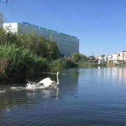 Здоровье Якутии🏥