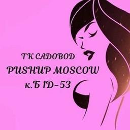 Pushup_Moskau