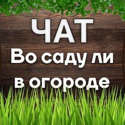 Чат канала "Во саду ли в огороде"