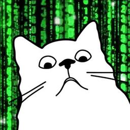 IT | Programmer's cat