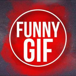 Funny Gif 🎬