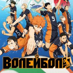 Волейбол!! / Haikyuu!! (FHD) (Субтитры) (SUB)