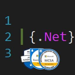 .NET-Entwickler