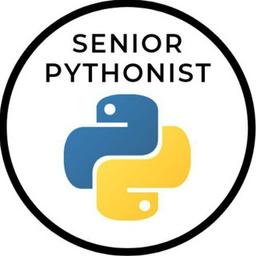 Leitender Python-Entwickler