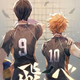 🏐Nível Haikyuu!🏐