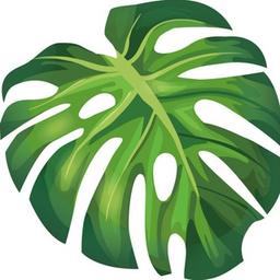 Floride | plantes d'intérieur