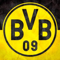 Aficionados del Borussia Dortmund