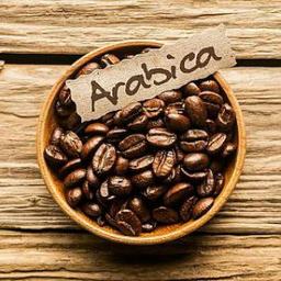 Arabica