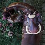 Canale telegramma cavallo | Cavalli, equitazione, equitazione