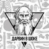 DARWIN | Kasachstan | KRIEG | UKRAINE | Fleisch | Darwin ist schockiert | Thrash | Tod | Porno