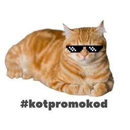 Código promocional do gato🚀