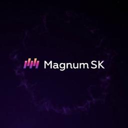 Magnum SK - Consultores Forex