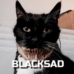 Black Sad