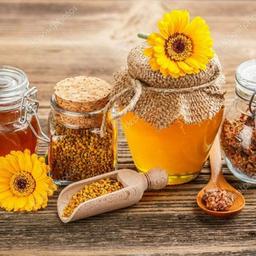 Miel de la Abeja Maya!!! Asal tozashi🍯🍯🍯🍯🍯🍯🍯!!! Taskent🇺🇿🇺🇿🇺🇿