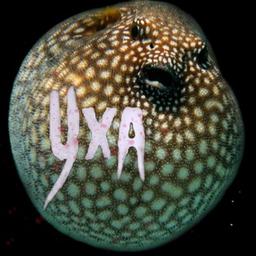 Uha🦈