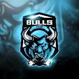 BullsBetTeam | Sports betting