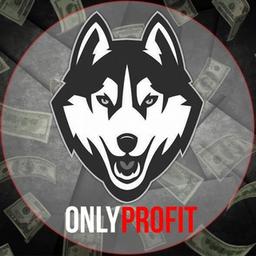 OnlyProfit – only earnings, only profit