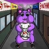 Purple Hamster Channel