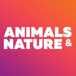 Animais e natureza - lindos papéis de parede