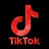 Troca de publicidade/RP mútuo TikTok