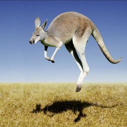 Bourse australienne de Kangaroo Capital