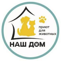 Abrigo de animais Nossa Casa, Chelyabinsk