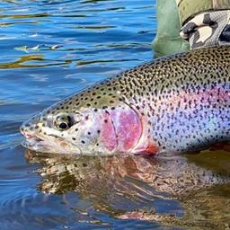 KamFishing🐟 - pêche et tourisme au Kamtchatka