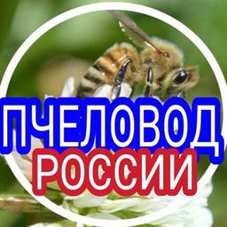 Apiculteur de la Fédération de Russie 🇷🇺 (Société russe d'apiculture (ROP)), rucher ; apiculture) Chaîne : Medolov