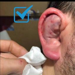 Breaking ears without pain (Instructions)