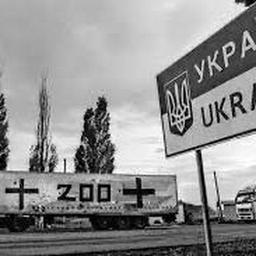 Fracht 200. Echte Verluste, Tote, Vermisste. Russlands Krieg mit der Ukraine.