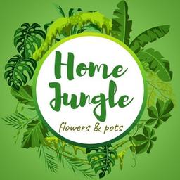 Iniciojungle_uz