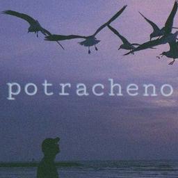 potracheno