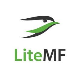 LiteMF. Товары из США, Европы, ОАЭ, Турции: выкуп и доставка