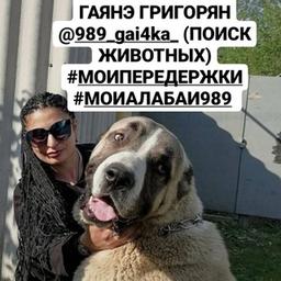 @989_gai4ka_ (ПОИСК ЖИВОТНЫХ) ЕСЛИ ВЫ ИЩЕТЕ И Я ОБ ЭТОМ НЕ ЗНАЮ, ЗНАЧИТ ВЫ ПЛОХО ИЩЕТЕ. ГАЯНЭ