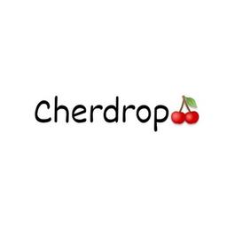 Cherdrop🍒fornecedor de roupas femininas (dropshipping, atacado)