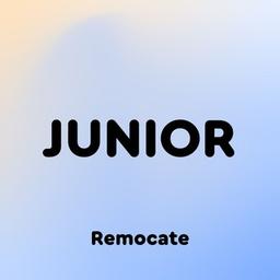 Remocate Junior: internships and vacancies for young professionals